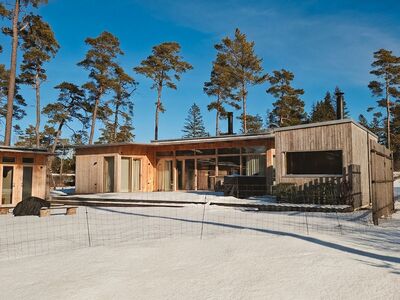 Modernt trä- och glashus bland tallar